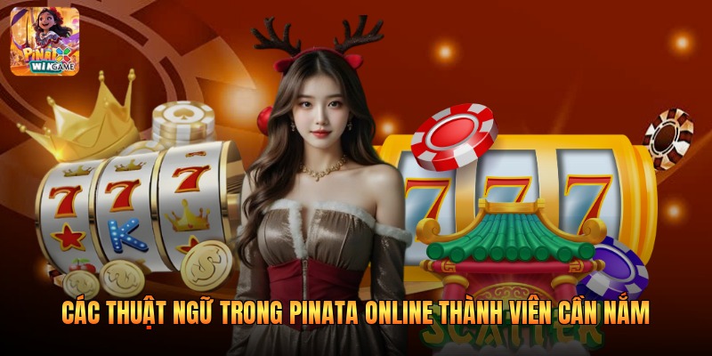 Các Thuật Ngữ Trong Pinata Online Thành Viên Cần Nắm