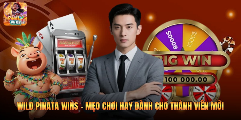 Wild Pinata Wins - Mẹo Chơi Hay Dành Cho Thành Viên Mới